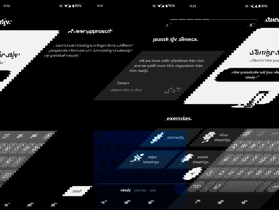 stoïque. présentation de l'interface de l'application.