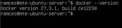 Un terminal indiquant que Docker est actuellement opérationnel sur la machine serveur.