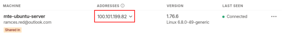 Une capture d'écran mettant en évidence l'adresse IP Tailscale du serveur Mumble.