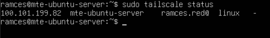 Un terminal montrant que Tailscale fonctionne correctement en répertoriant tous les clients disponibles dans Tailnet.