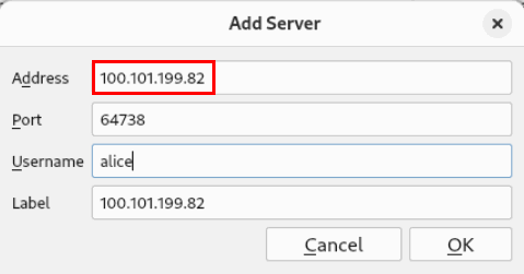 Une capture d'écran montrant le client Mumble distant utilisant l'adresse IP Tailscale pour se connecter au serveur Mumble.