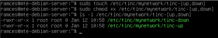 Un terminal affichant les fichiers de script tinc-up et tinc-down avec les bits d'autorisation corrects dans la deuxième machine Tinc.