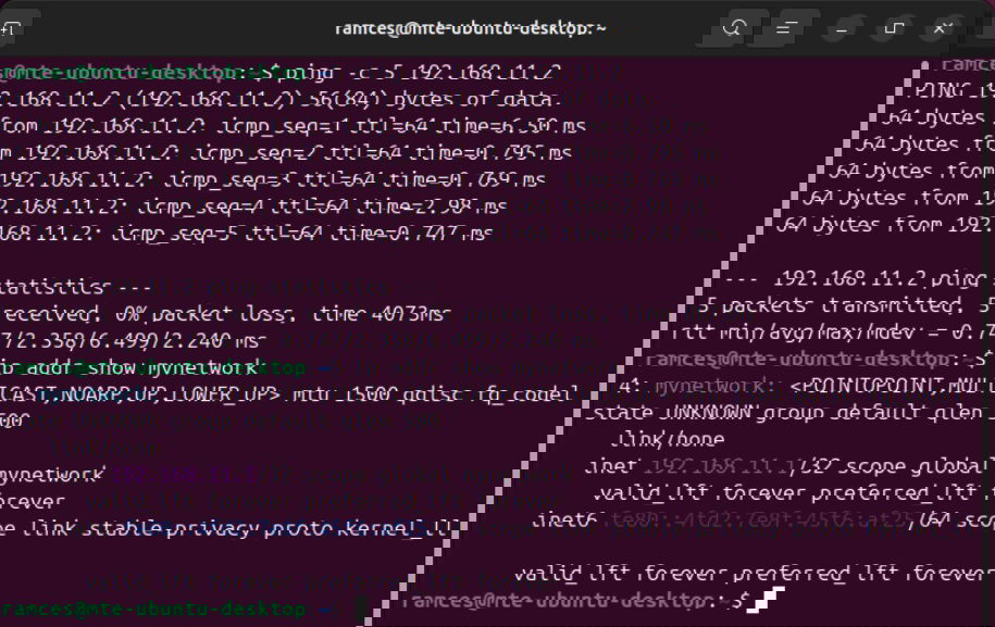Un terminal affichant la latence du VPN Tinc ainsi que le périphérique réseau fonctionnant sous Ubuntu.