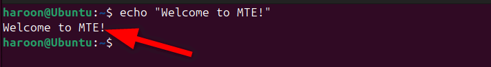 Affichage de la sortie de la commande echo sur le terminal Ubuntu.