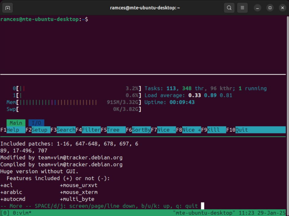 Un terminal montrant une volette horizontalement espacée dans TMUX.