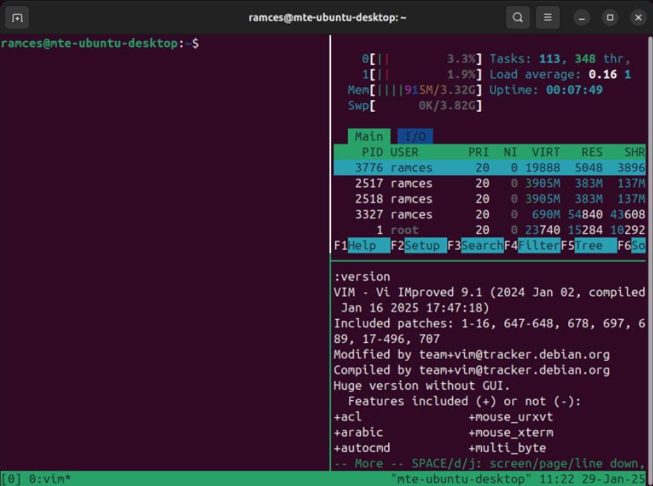 Un terminal montrant une disposition de type DWM dans TMUX.