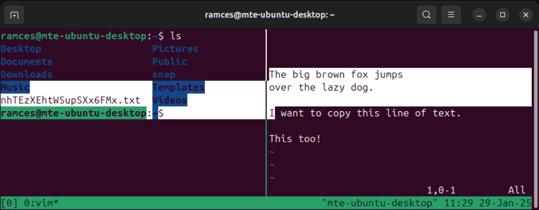 Un terminal montrant l'effet d'emballage qui se produit lorsque vous sélectionnez du texte normalement dans TMUX.