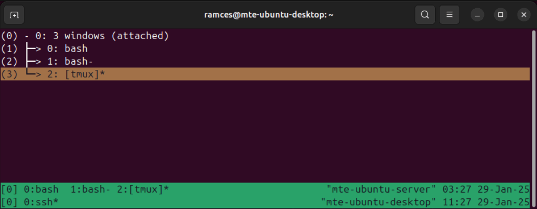 Un terminal montrant le TMUX imbriqué contrôlé par l'utilisateur.