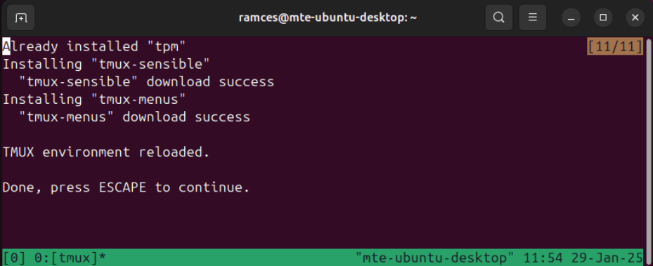 Un terminal montrant TPM installant les plugins sur mon instance TMUX.
