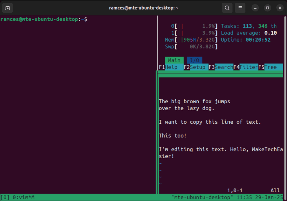 Un terminal montrant le volet marqué à l'intérieur de TMUX.