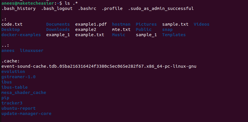 Dans Linux, les fichiers cachés commencent par un point. Nous pouvons utiliser le