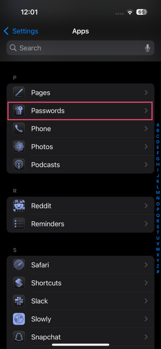 Navigation vers des mots de passe dans les paramètres de l'iPhone.