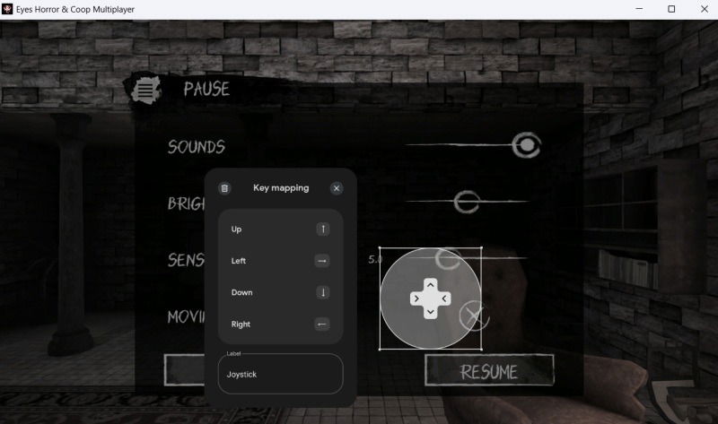 Options de cartographie des clés dans Google Play Games sur PC.