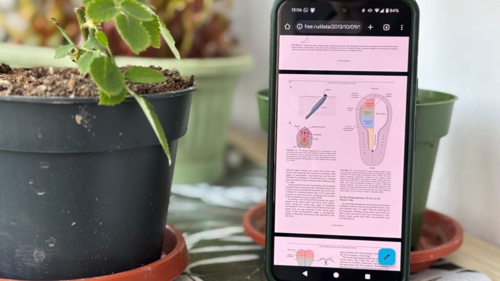 View Pdf Chrome Android Featured