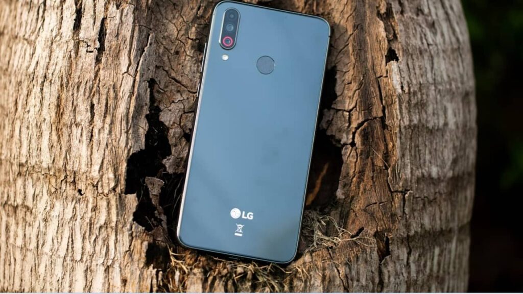 LG phone against a tree trunk.