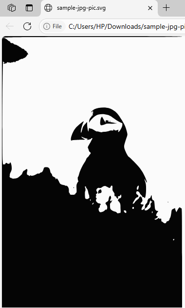 SVG converti