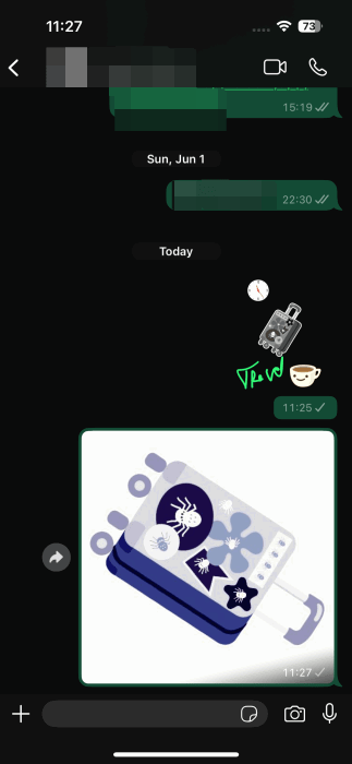 Envoi divers emoji personnalisés dans la conversation WhatsApp sur iPhone.