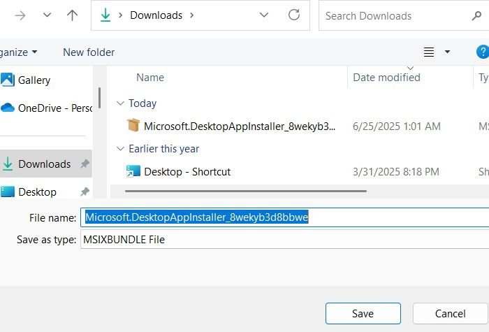 Winget Installateur d'application non reconnu téléchargé en ligne