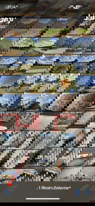 Appuyez sur le bouton Partager pour l'image sélectionnée dans l'application Photos sur iPhone.