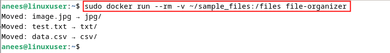 Exécuter le script dans Docker