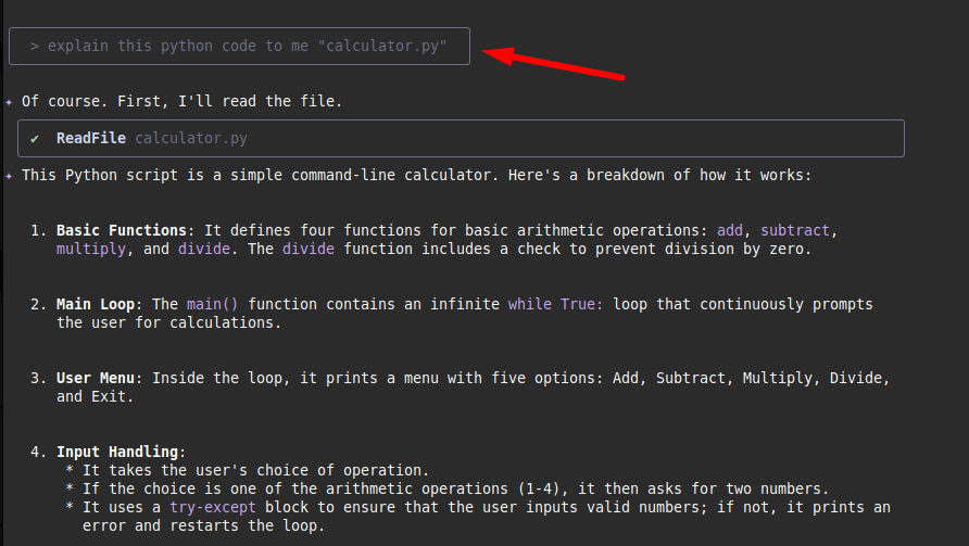 Explication du fichier python à l'aide de Gemini CLI