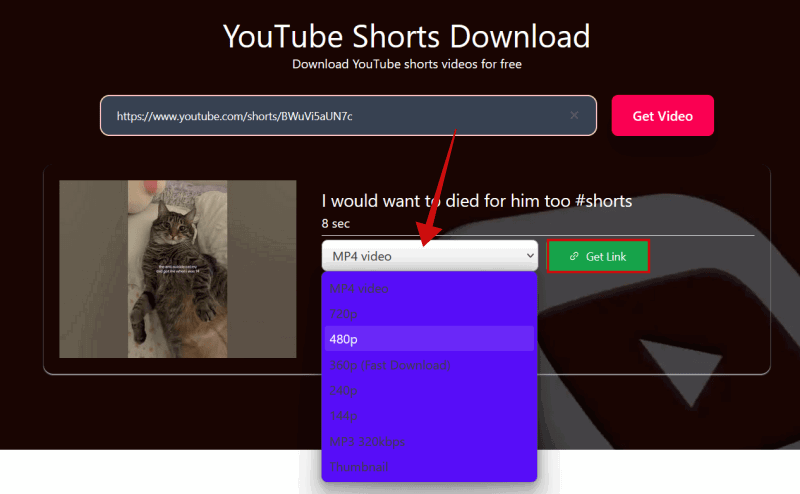 Opting Quality pour le téléchargement vidéo sur le site Web SaveTube.