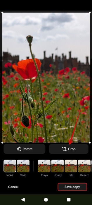 Image de recadrage à l'aide de l'application Gallery sur Android.