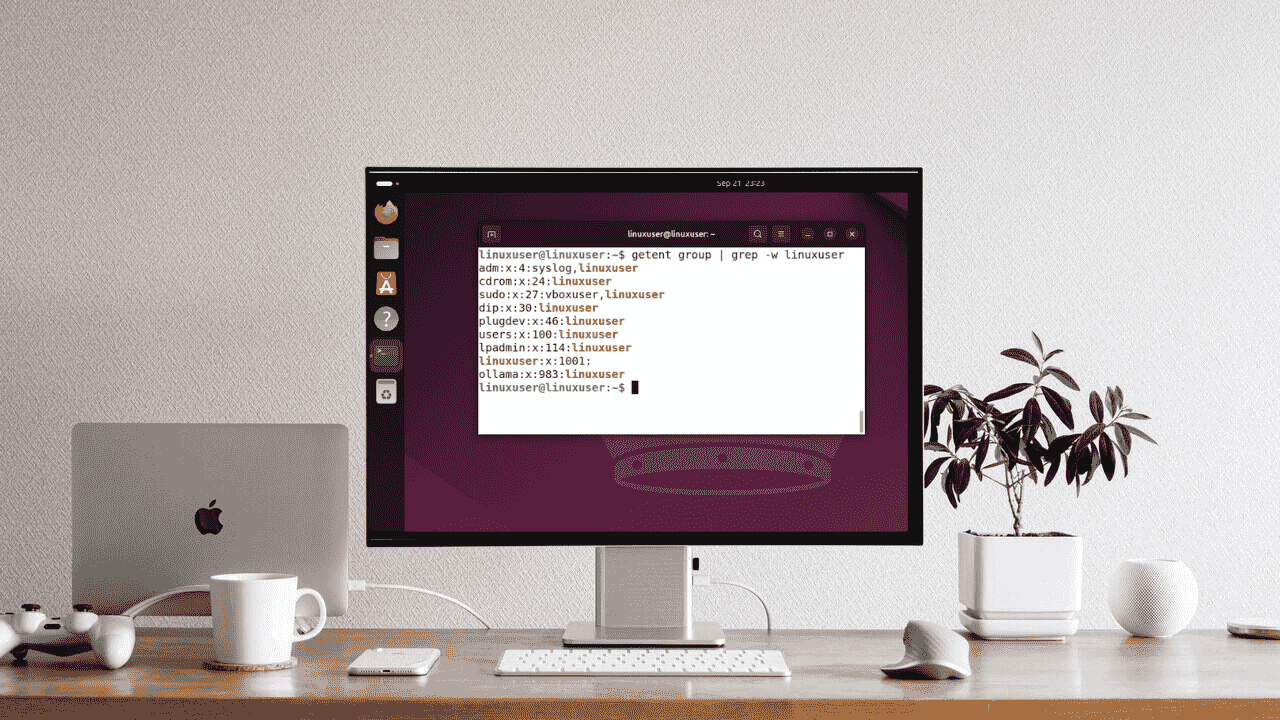 Check Linux User Groups