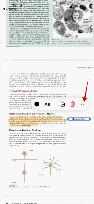 En appuyant sur le menu à trois points pour la zone de texte sur le PDF dans l'application Aperçu sur iPhone.
