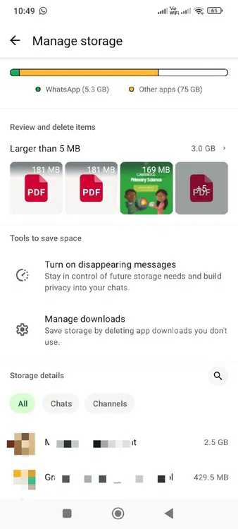 WhatsApp Storage Manager affichant les données