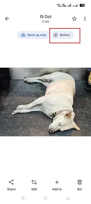 Motion Photos a été mis en pause dans l'application Google Photos.