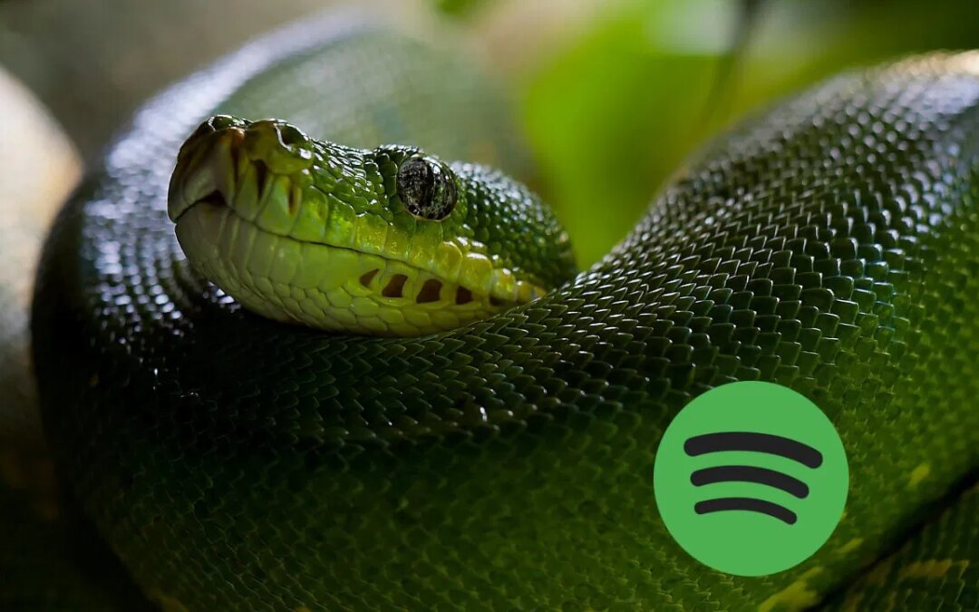 Comment jouer au jeu Hidden Snake de Spotify