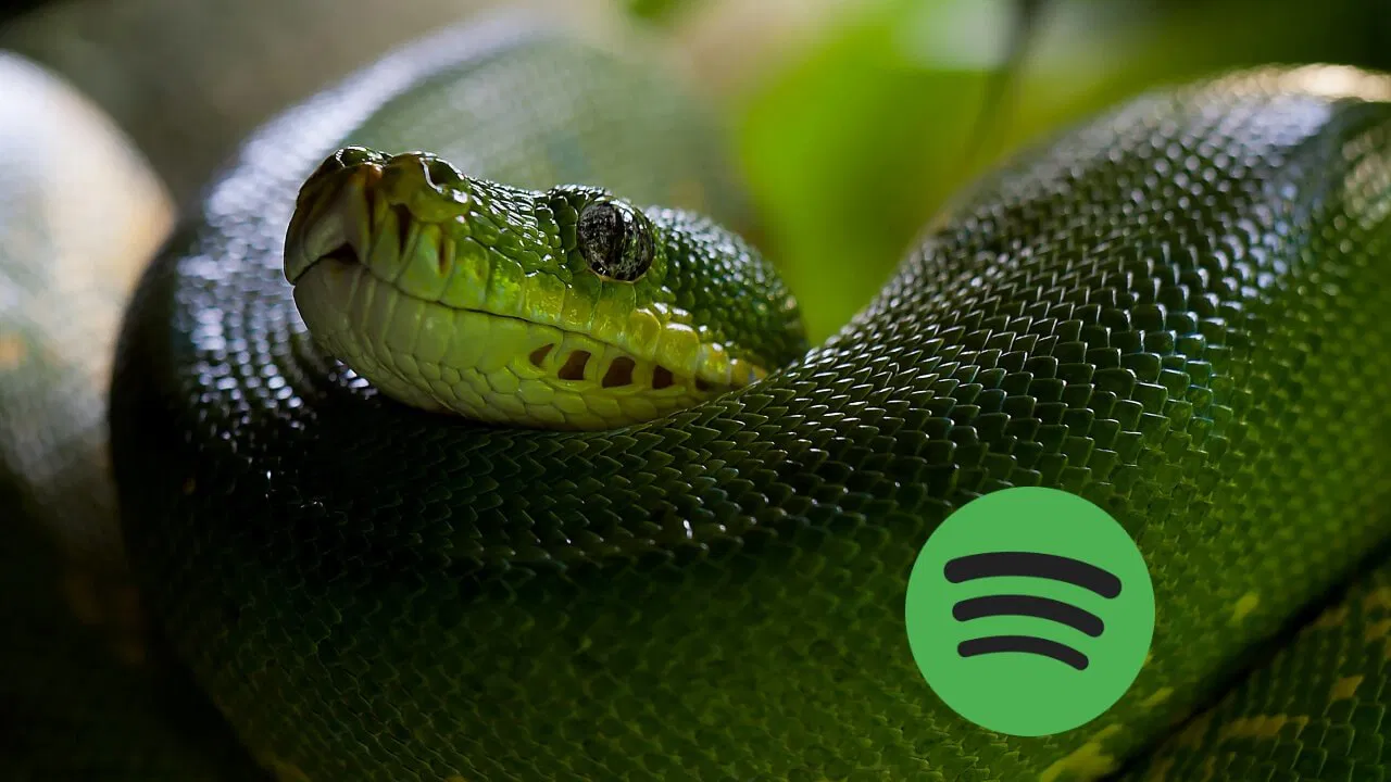 Snake Game Spotify Featured