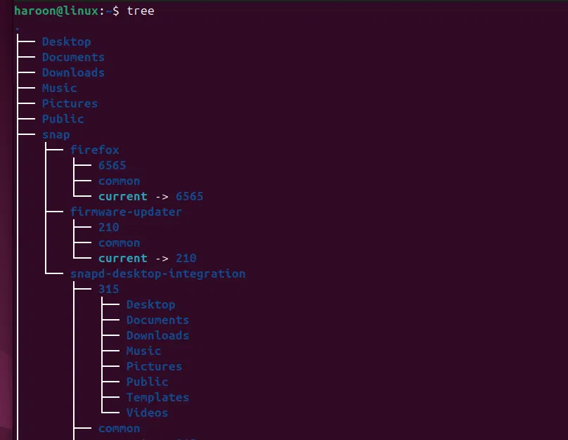 Affichage d'une structure arborescente en exécutant la commande Tree