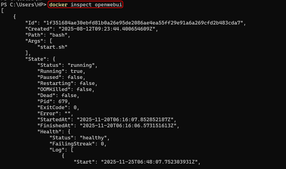 Inspecter l'image du conteneur