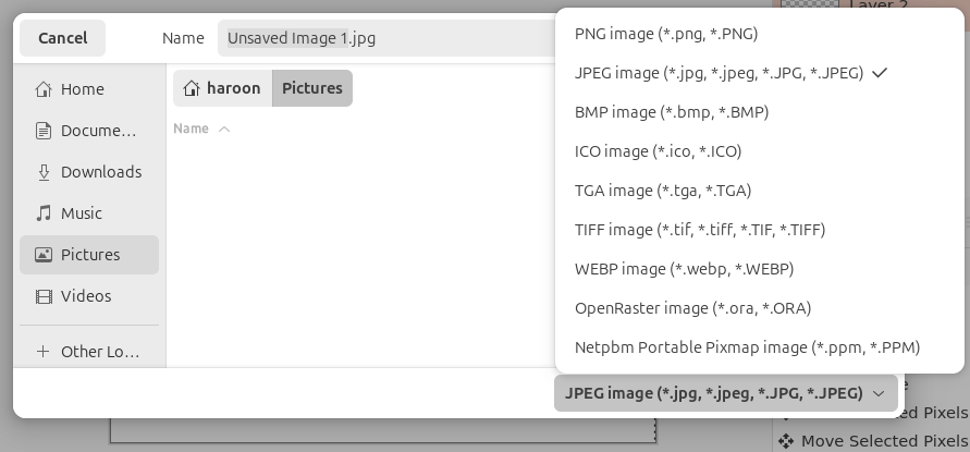 Painta Diverses options d’économie