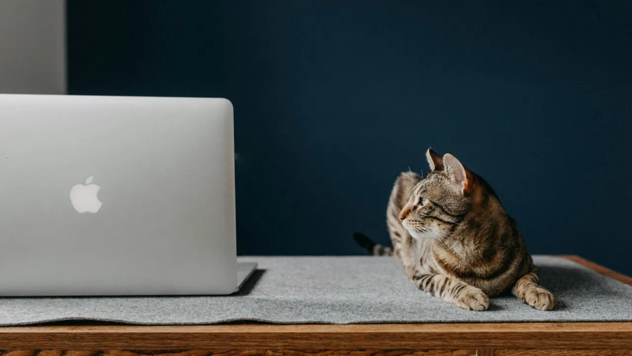 View Folder Size Mac Os Featured