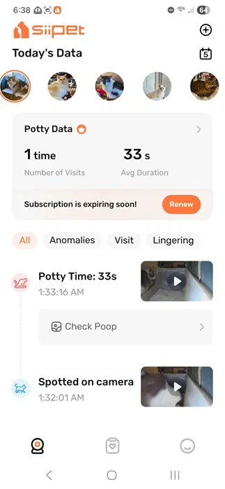 Surveillance du premier jour dans l'application SiiPet.