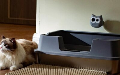 Fluffy cat at litter box with SiiPet LitterLens camera installed.