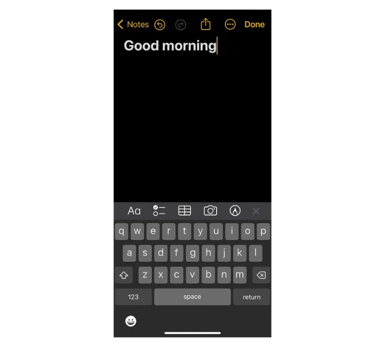 Saisie sans correction automatique