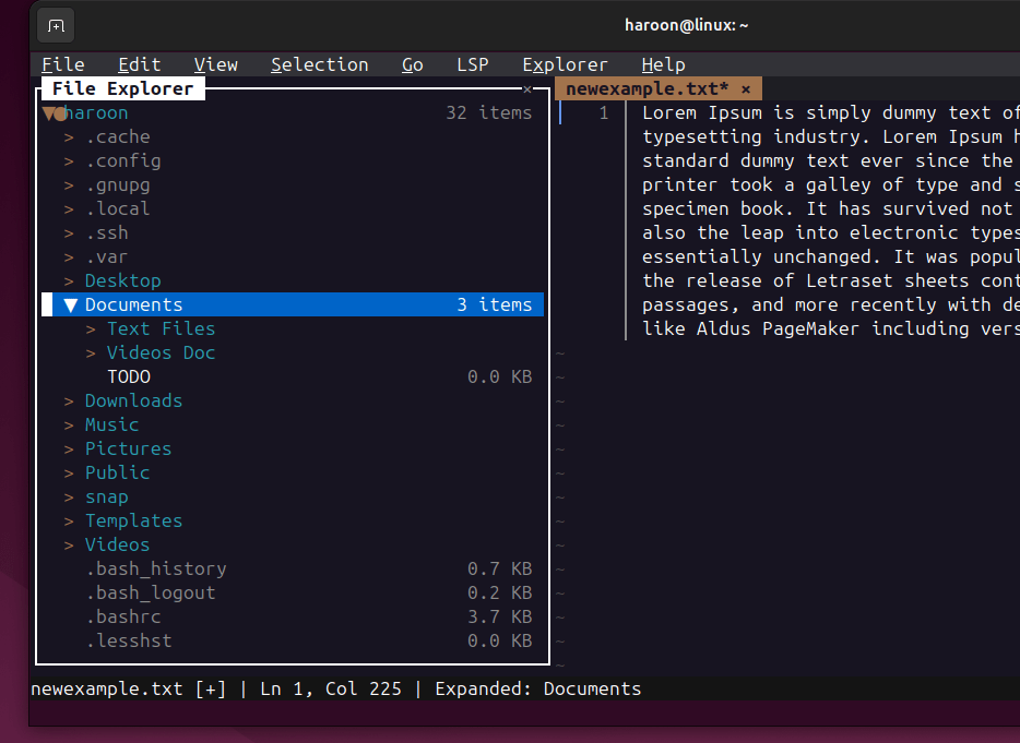 Nouveau terminal intégré à l'explorateur de fichiers