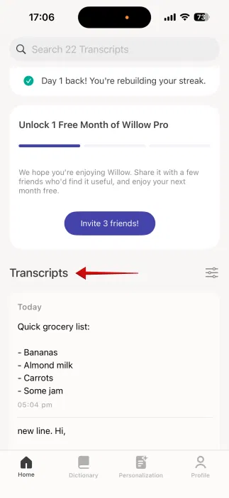 Affichage des transcriptions précédentes dans l'application Willow sur iPhone. 