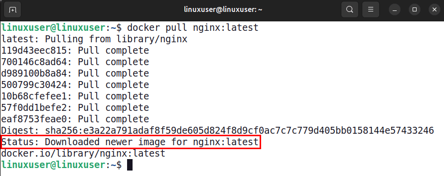 Extraire l'image Nginx