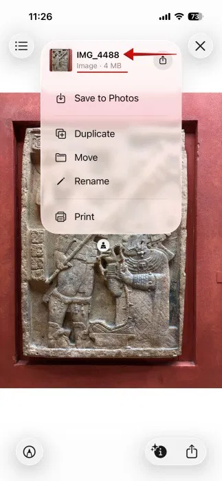 Vérification du format de la photo dans l'application Fichiers sur iPhone.