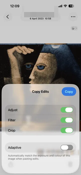 Choisir les modifications à copier pour la photo sur iPhone.