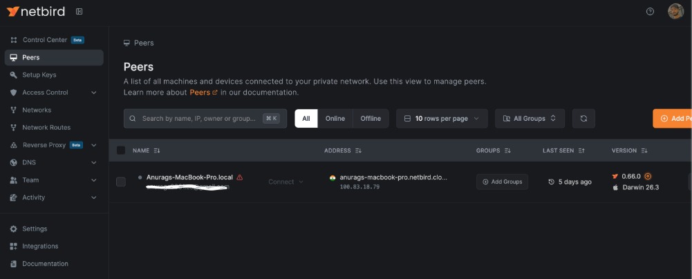 Section Peers Netbird