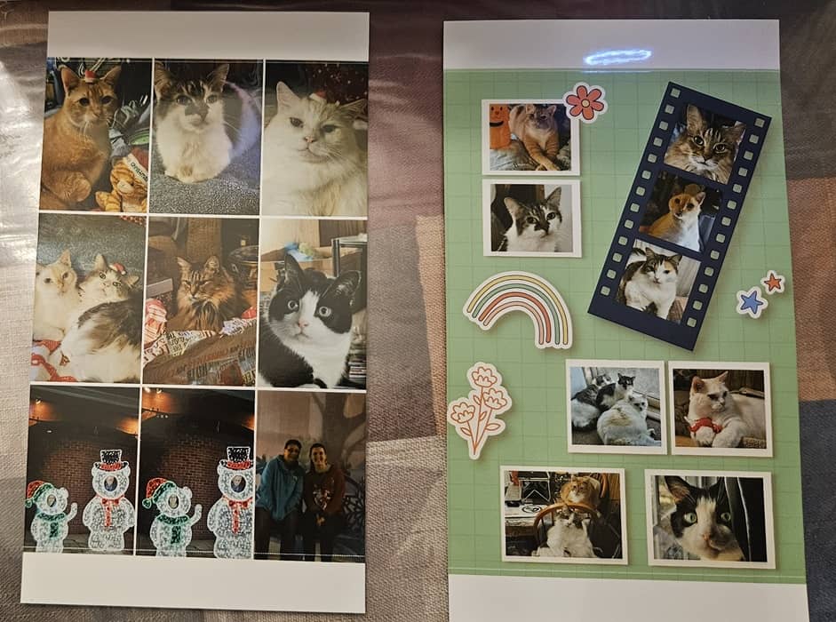 Collages de photos de Liene PixCut S1.