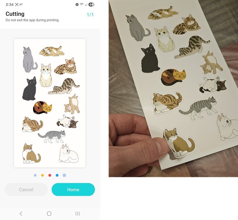 Impression d'autocollants pour chats depuis l'application Liene Photo.