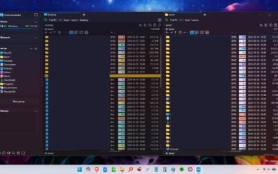 OneCommander opened on desktop.