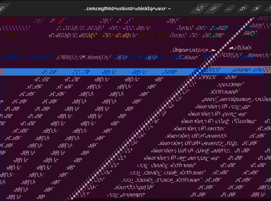 Un terminal affichant une présentation simplifiée pour Bottom.